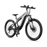 Duotts E29 Electric Bike - 250W Motor 48V13.5AH Battery Hydraulic Brakes - Silvery white